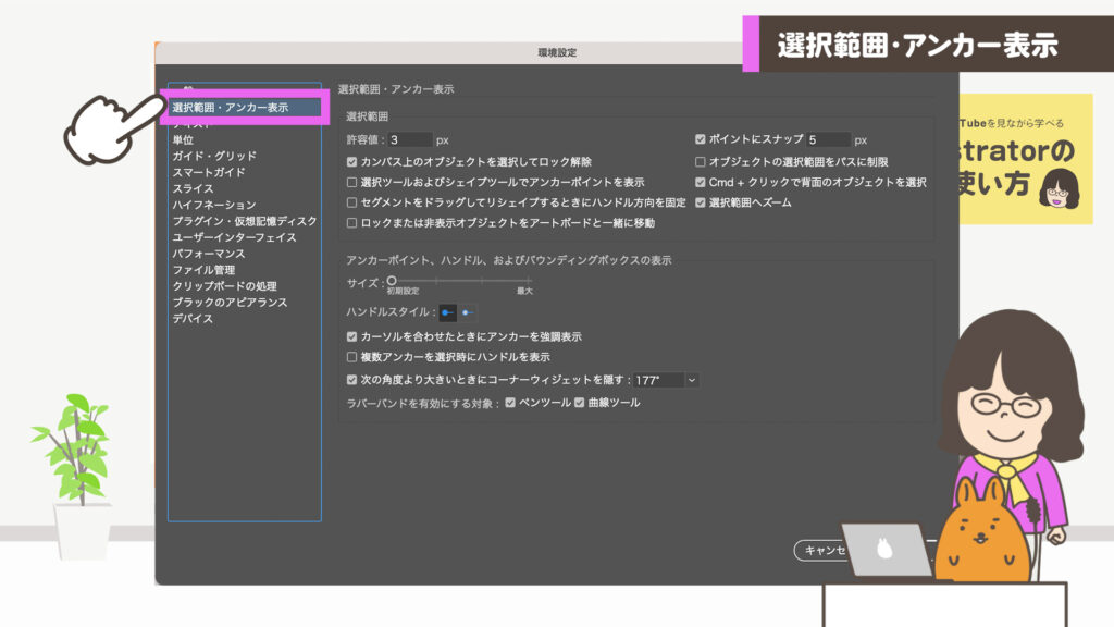 選択範囲・アンカー表示