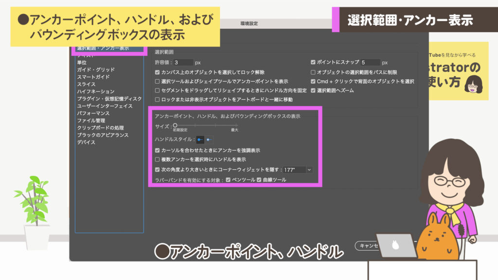 アンカーポイント、ハンドル、およびバウンディングボックスの表示